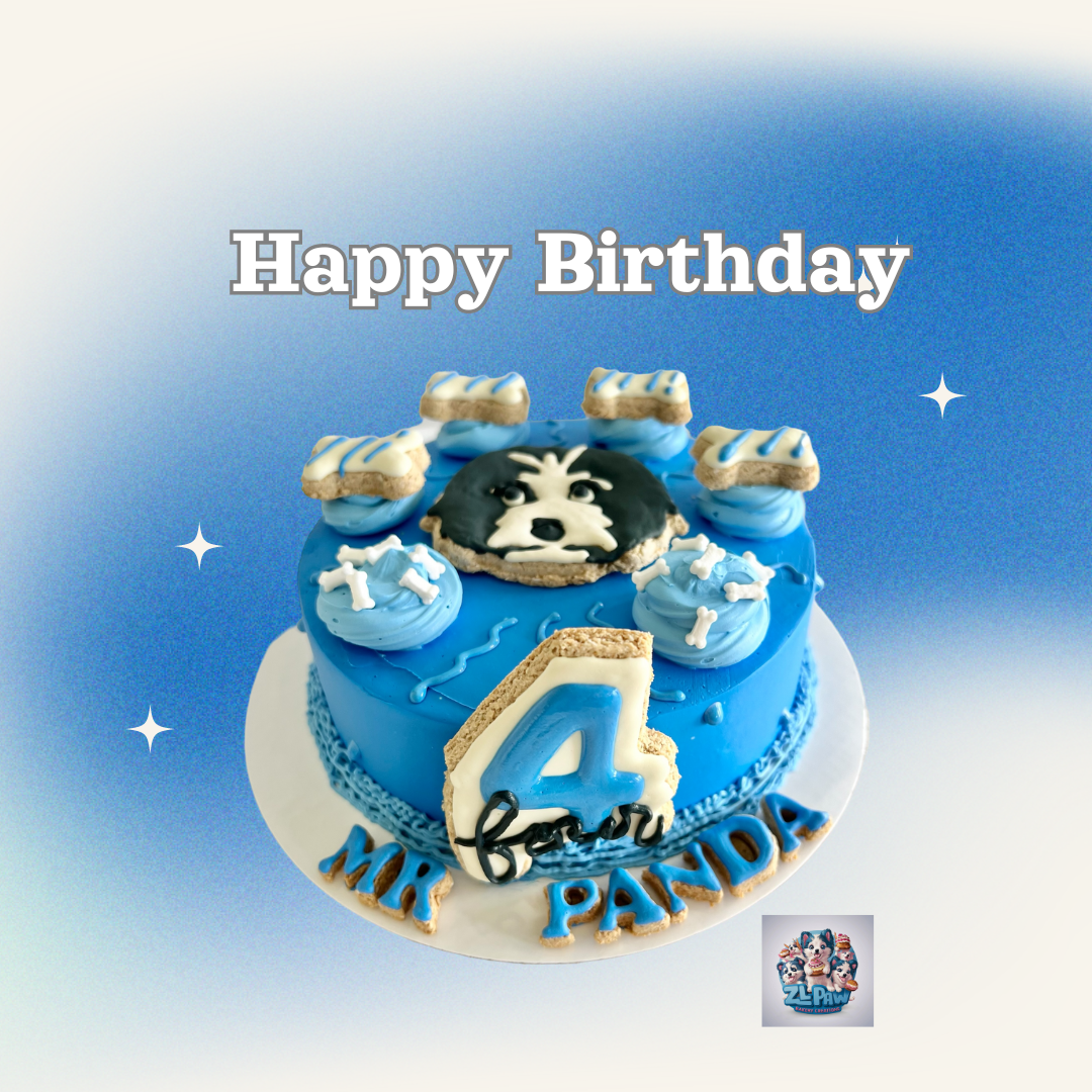 Boy’s Birthday Cake