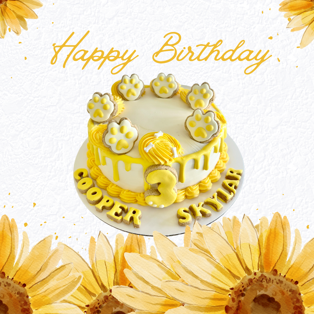 Boy’s Birthday Cake