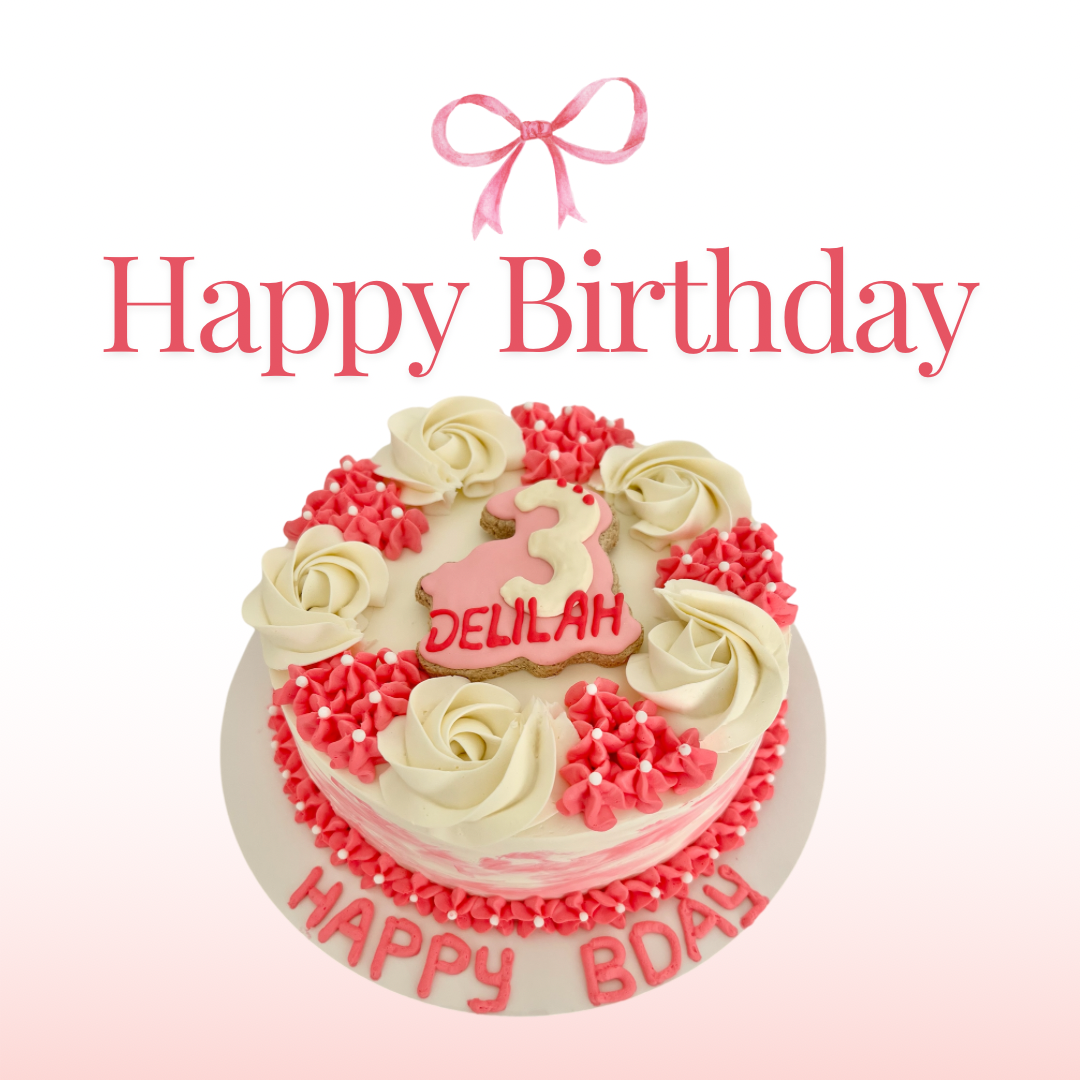 Girl’s Birthday Cake