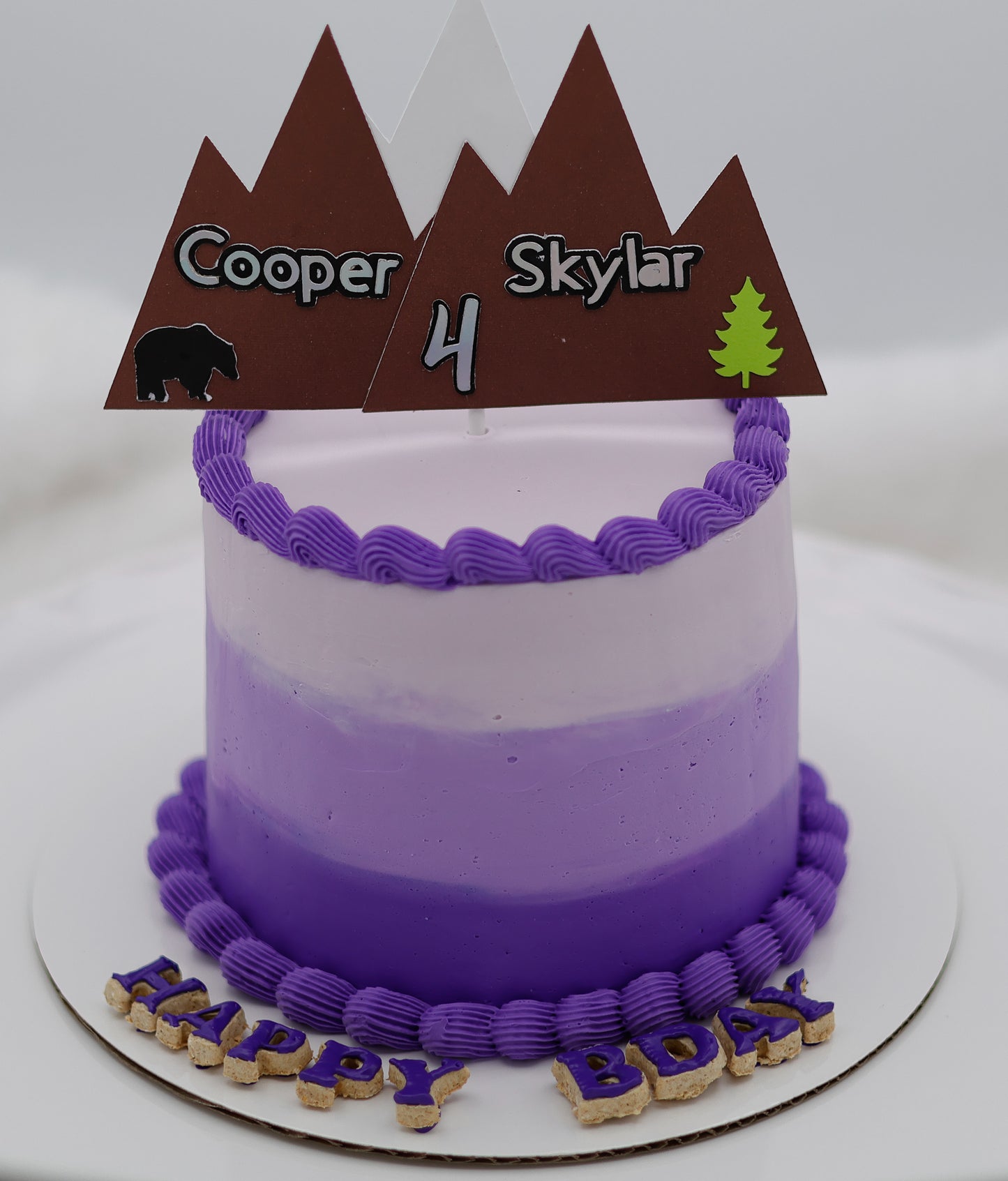 Mountain Theme Dog Cake