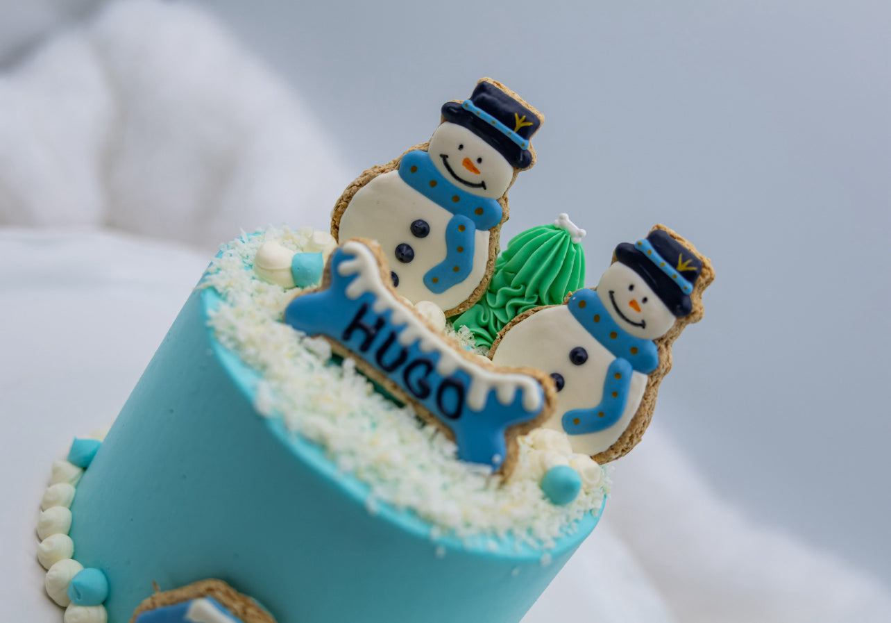 Boy’s Birthday Cake