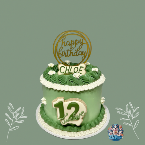 Girl’s Birthday Cake