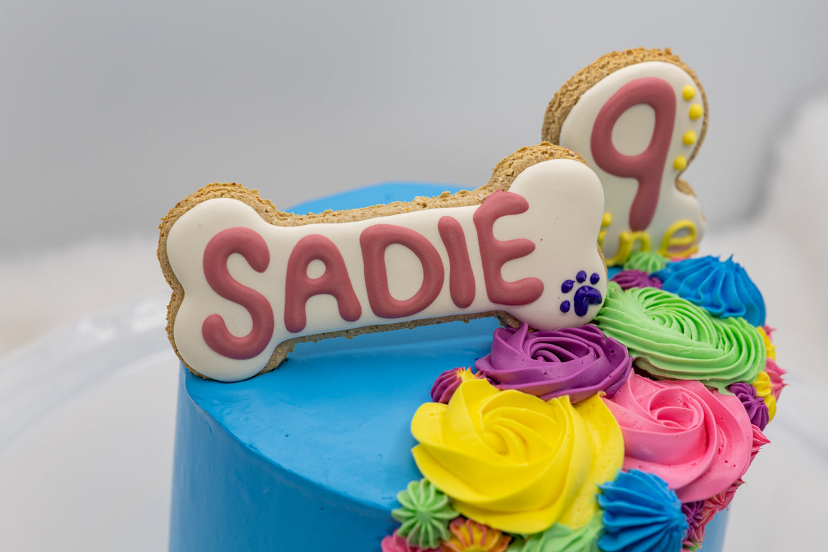 Girl’s Birthday Cake