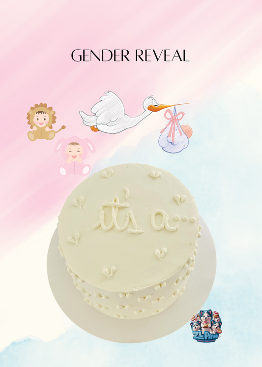 Gender Reveal Cake