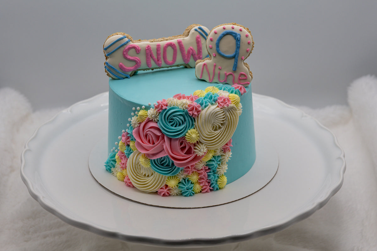Girl’s Birthday Cake