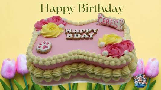 Bone Cake