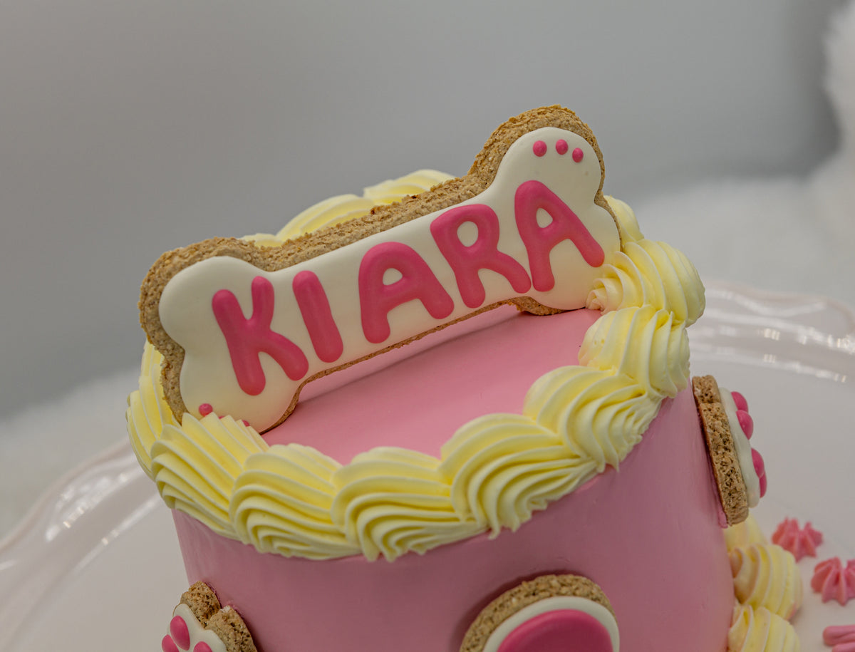 Girl’s Birthday Cake