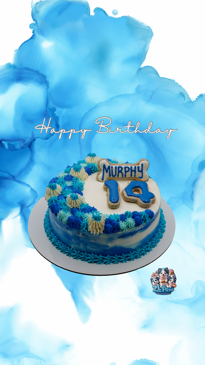 Boy’s Birthday Cake