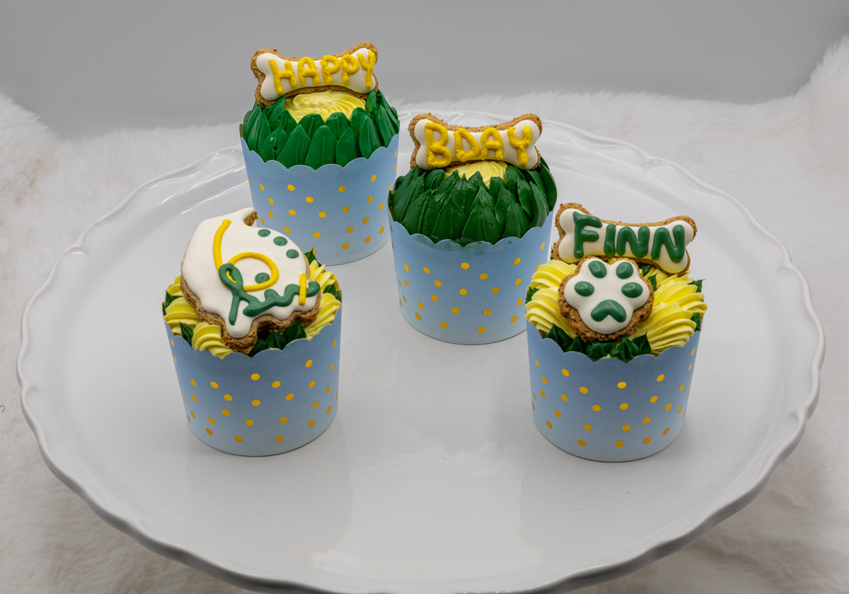 Birthday Cupcakes