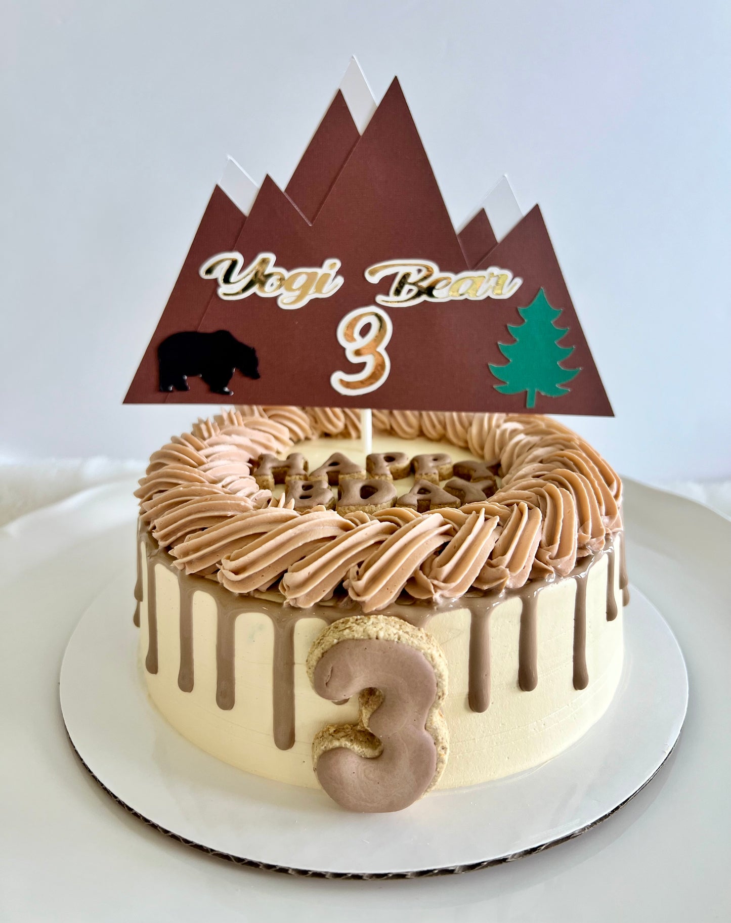 Mountain Theme Dog Cake