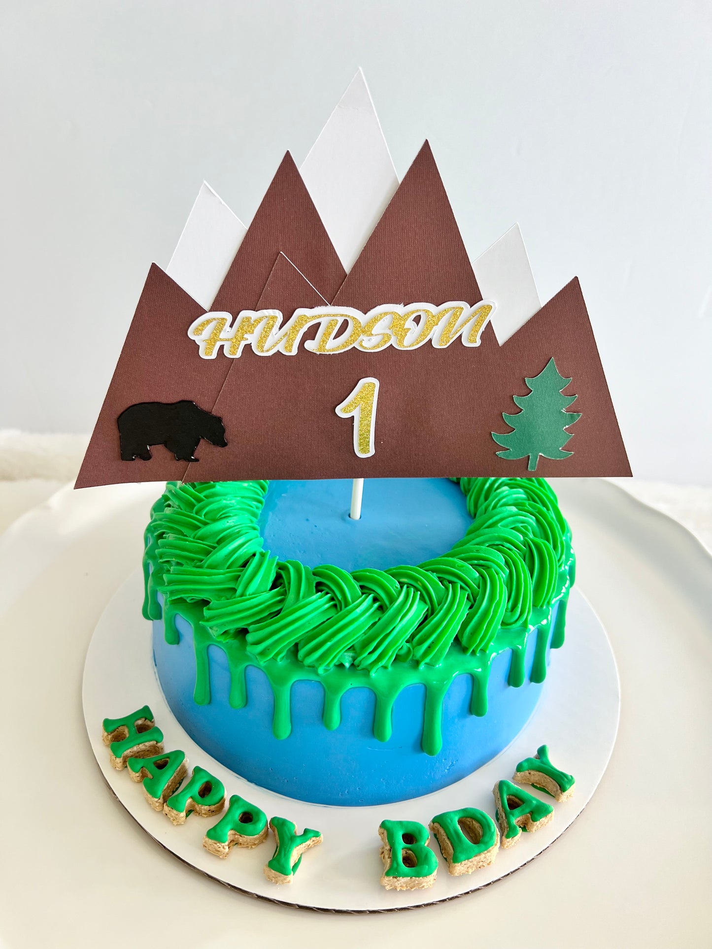 Mountain Theme Dog Cake