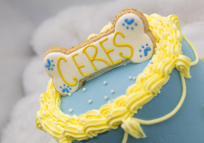 Girl’s Birthday Cake