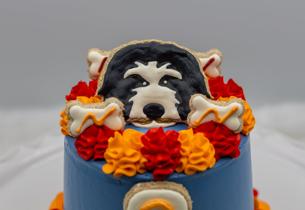 Boy’s Birthday Cake