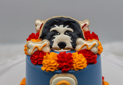 Boy’s Birthday Cake
