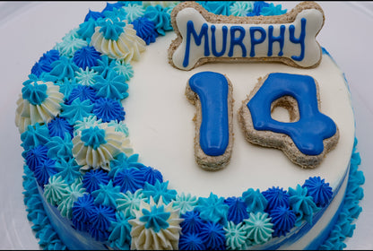 Boy’s Birthday Cake