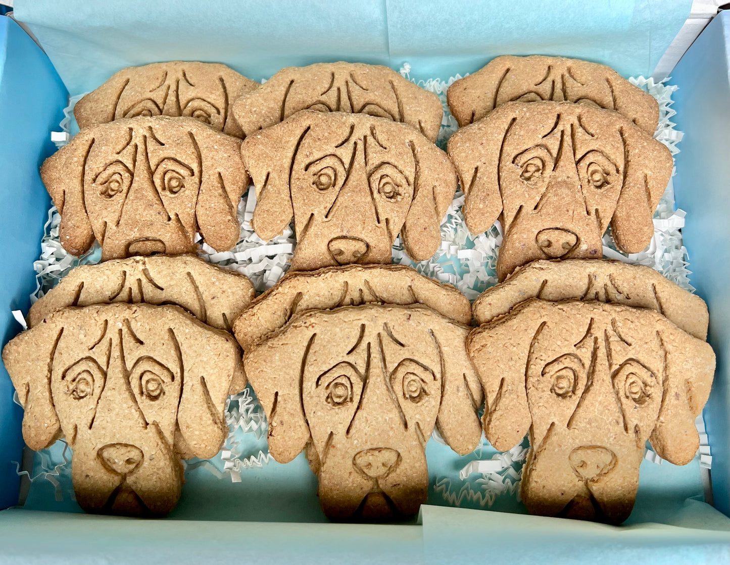 Great Dane Cookies